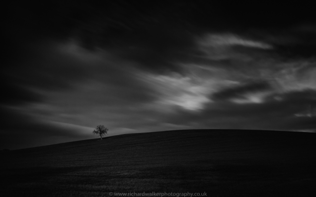 Long exposure of a tree on a hill